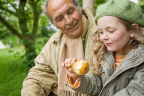 Eating pears linked to a lower body weight