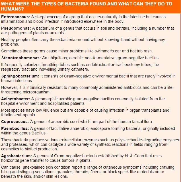 Types of human bacteria