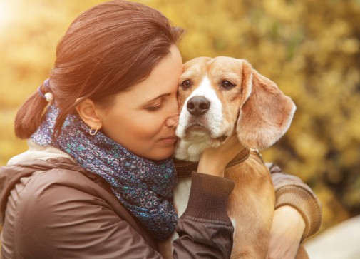 Are dogs able to read human emotions?