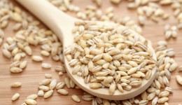 Add barley to your diet to boost your health