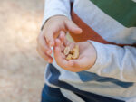 A child with food allergies holds nuts at the school playground.