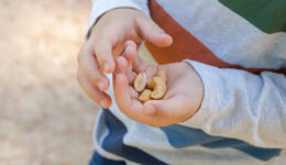 Is your child ready to face food allergens?