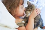 Hospitalizations on the rise from cat scratch disease