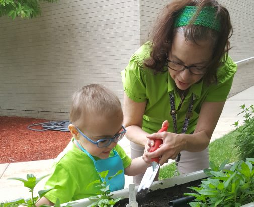 A garden with “healing” powers