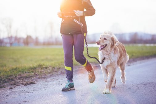 Could a pill help you and your dog live longer?