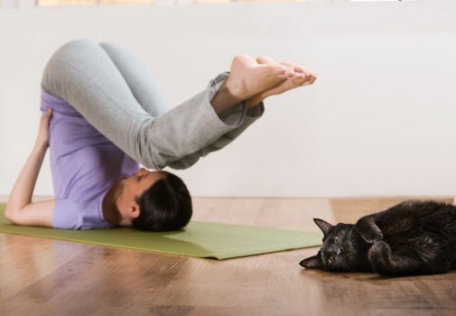 The latest exercise trend for animal lovers?