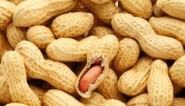 Is this the cure for peanut allergies?