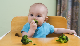 Are Americans feeding their babies solid foods too soon?