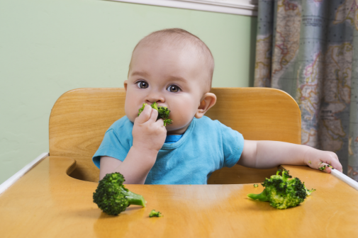 Are Americans feeding their babies solid foods too soon?