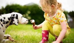 6 things you should teach your child about dogs