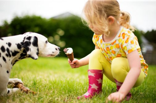 6 things you should teach your child about dogs