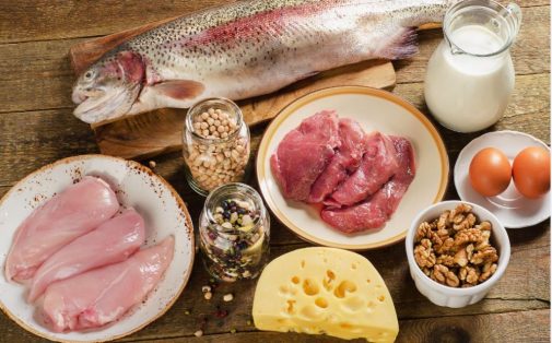 5 commonly asked protein questions answered