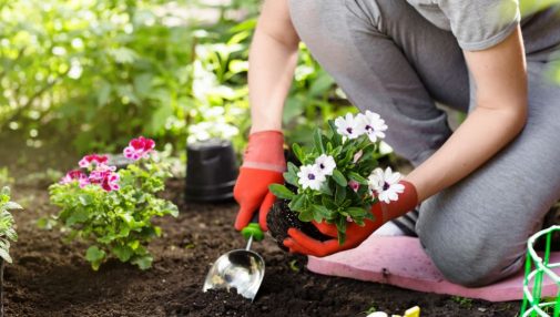 Plant your garden without feeling aches and pains