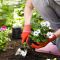 Plant your garden without feeling aches and pains