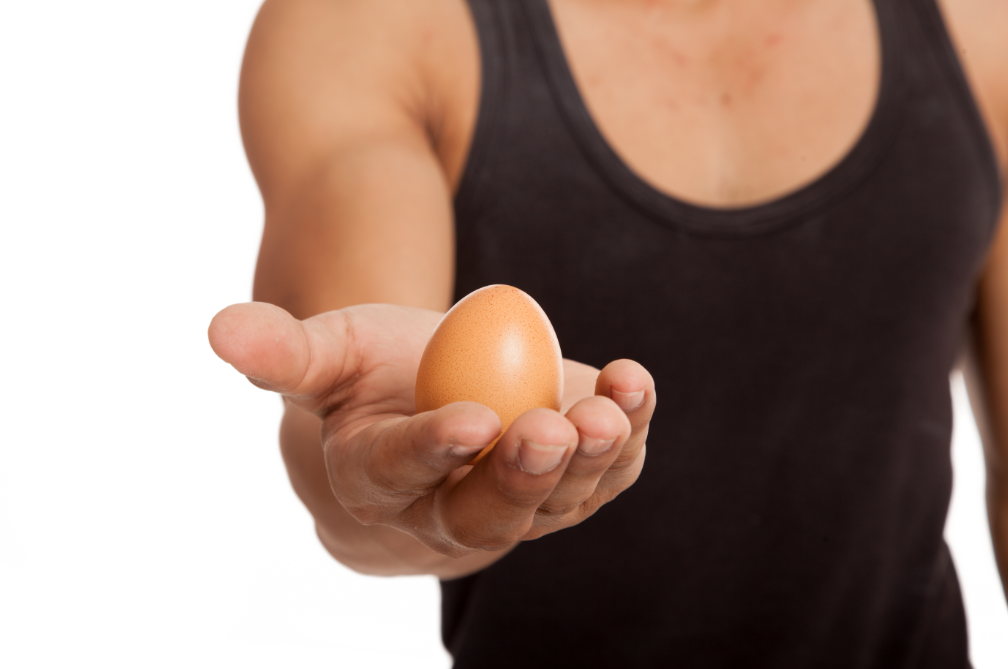 Should you eat the whole egg? health enews