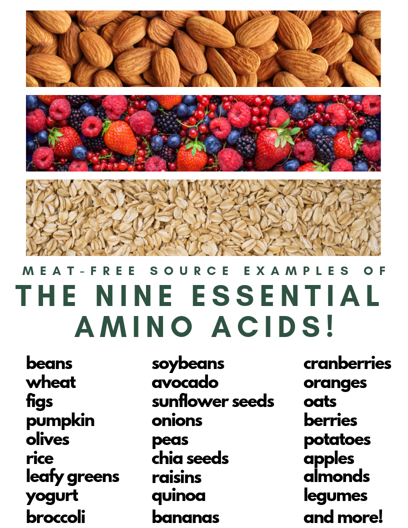 How Many Essential Amino Acids