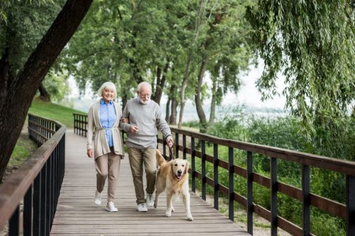 How dogs could pose a risk for older Americans