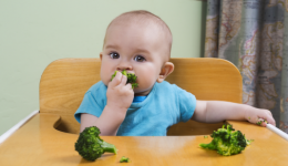 What should your baby’s first foods be?