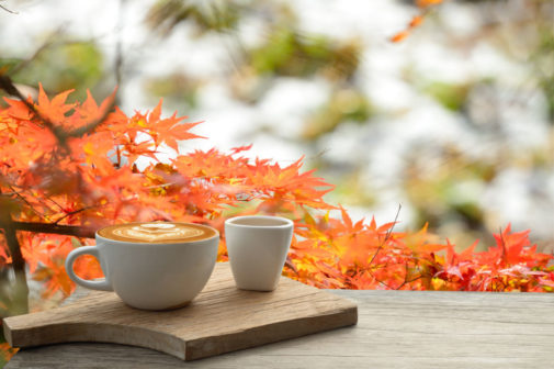 Is pumpkin spice good for you?