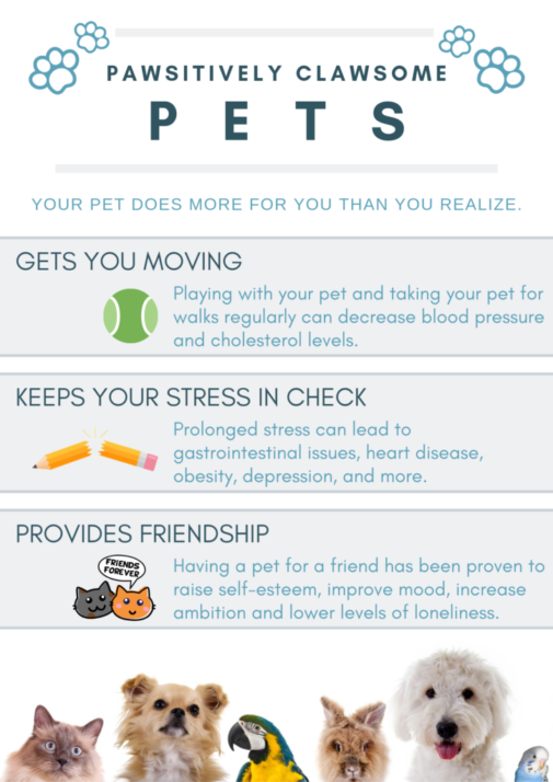 Your cat might actually like you | health enews