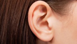 What are ear seeds?