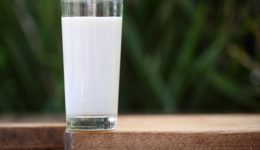 Milk: Does it do your body good?