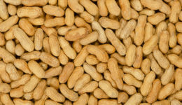 Treating a food allergy with the allergen