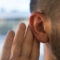 Test your knowledge: Are these hearing tips fact or fiction?
