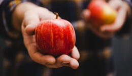Can an apple a day really keep the doctor away?