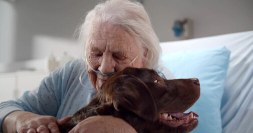 How four-legged friends can help stroke survivors