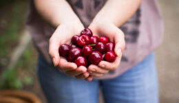 Join in on the sweet health benefits of cherries