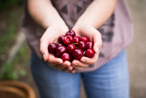 Join in on the sweet health benefits of cherries