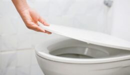 Should you leave the toilet lid up or down when you flush?