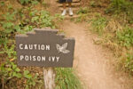 A poison ivy sign.