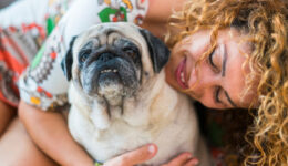 A furry friend may help keep your mind sharp