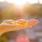Is your vitamin D supplement unnecessary?