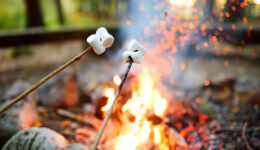 Campfire safety tips every parent should know