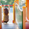 Do you know these summertime safety must-dos?