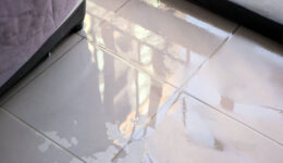 Is your house contaminated after flooding?