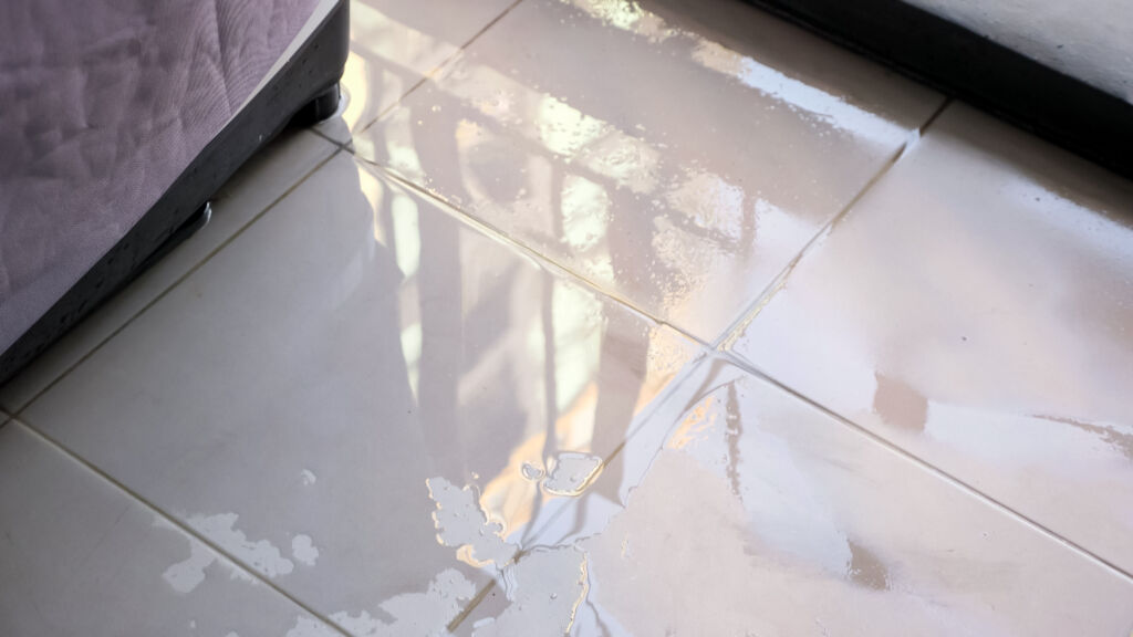 Is your house contaminated after flooding?
