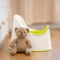 5 tips for potty training success